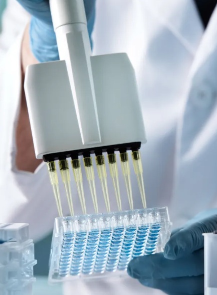 아벨리노검사를 위해 시약을 넣는 모습