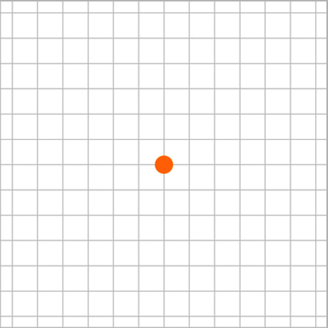 암슬러 격자 이미지