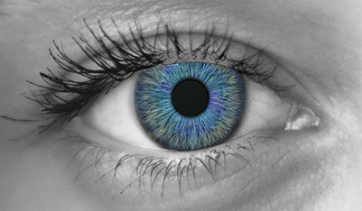 정상안 이미지 — 수정체와 각막이 맑고 투명하여 빛이 고르게 통과되는 건강한 눈의 모습.