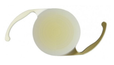 팬옵틱스(panoptix) 렌즈 이미지