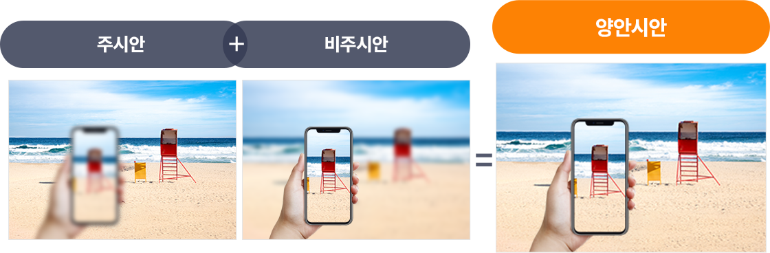 주시안과 비주시안의 역할 비교 이미지 — 한쪽 눈은 먼거리, 다른 한쪽은 근거리를 담당해 두 눈이 함께 사용할 때 모든 거리가 선명하게 보이는 양안시안 원리를 설명함.