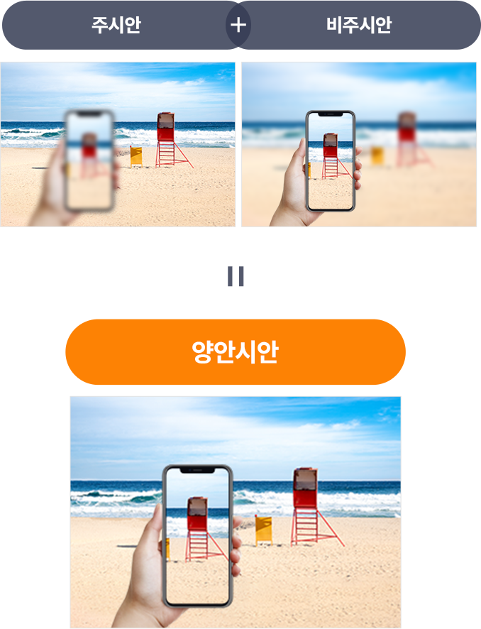 주시안과 비주시안의 역할 비교 이미지 — 한쪽 눈은 먼거리, 다른 한쪽은 근거리를 담당해 두 눈이 함께 사용할 때 모든 거리가 선명하게 보이는 양안시안 원리를 설명함.