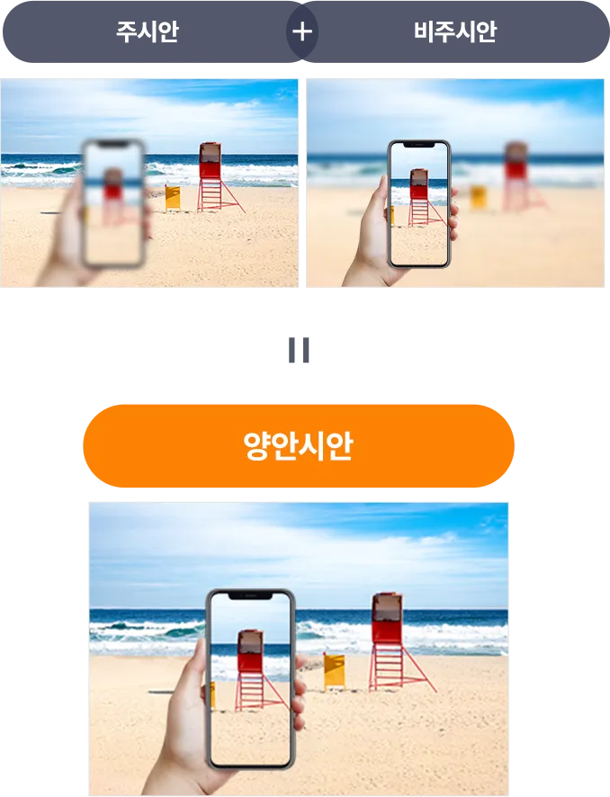 주시안과 비주시안의 역할 비교 이미지 — 한쪽 눈은 먼거리, 다른 한쪽은 근거리를 담당해 두 눈이 함께 사용할 때 모든 거리가 선명하게 보이는 양안시안 원리를 설명함.